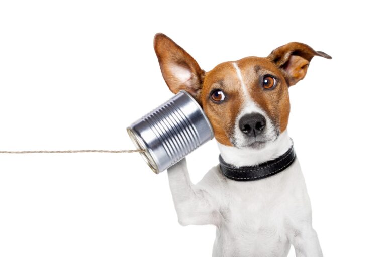 The Power of Listening When Everyone Wants to Speak